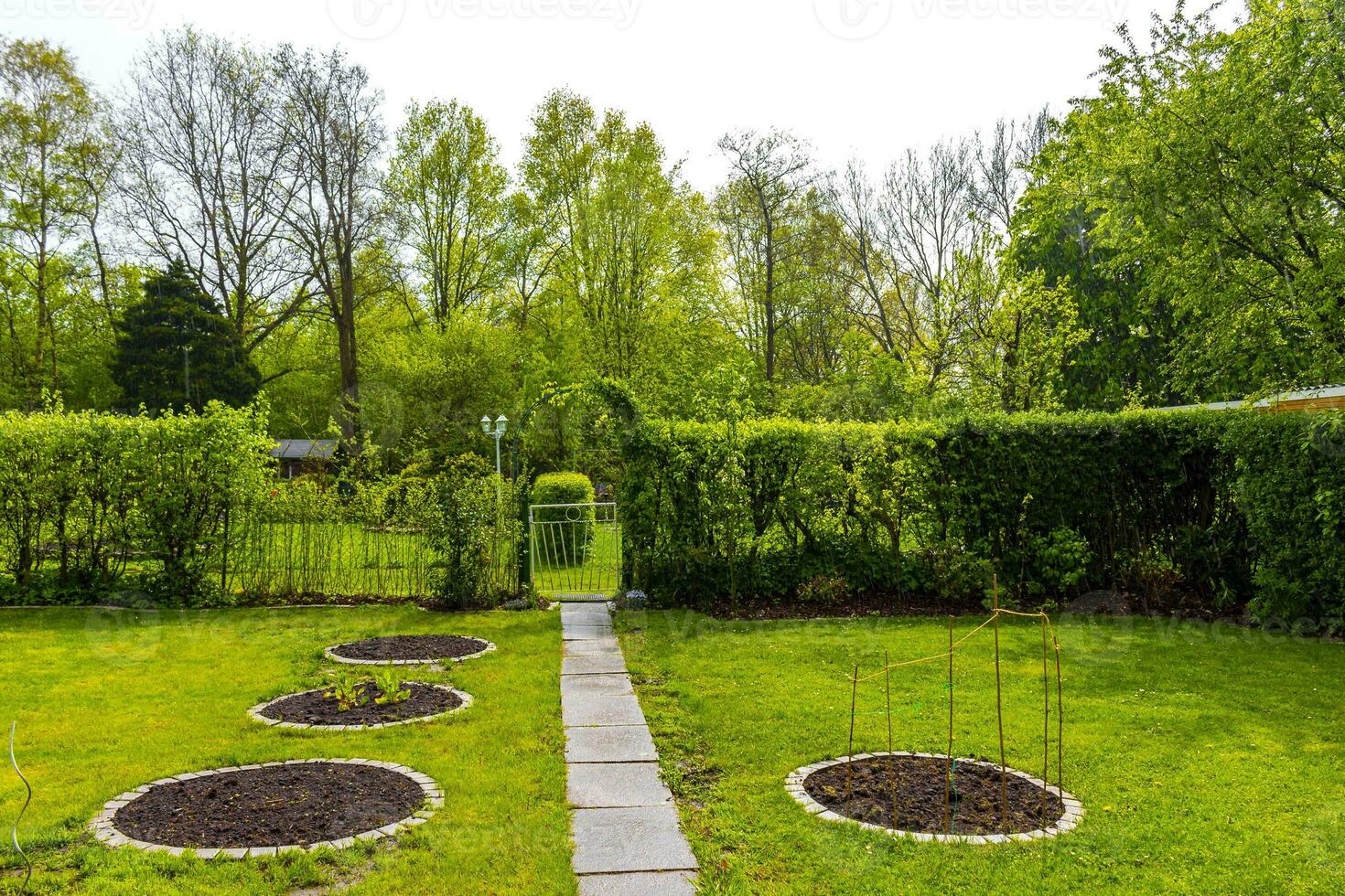 tuin met ronde bedden bodem jong spruiten planten in duitsland. foto