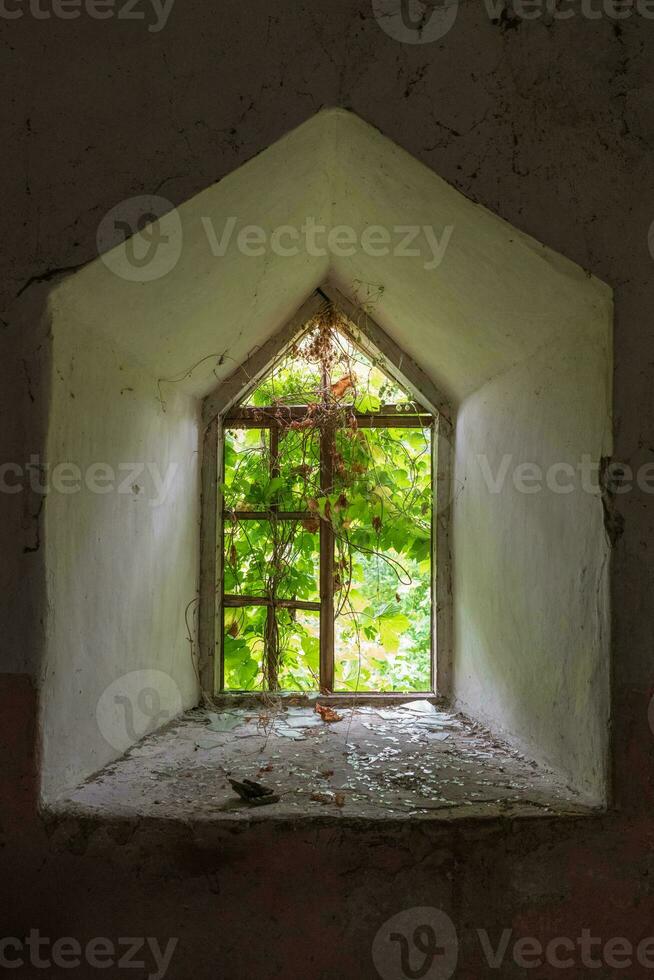 fotografie Aan thema uitstekend gebouw mooi steen oud water molen foto