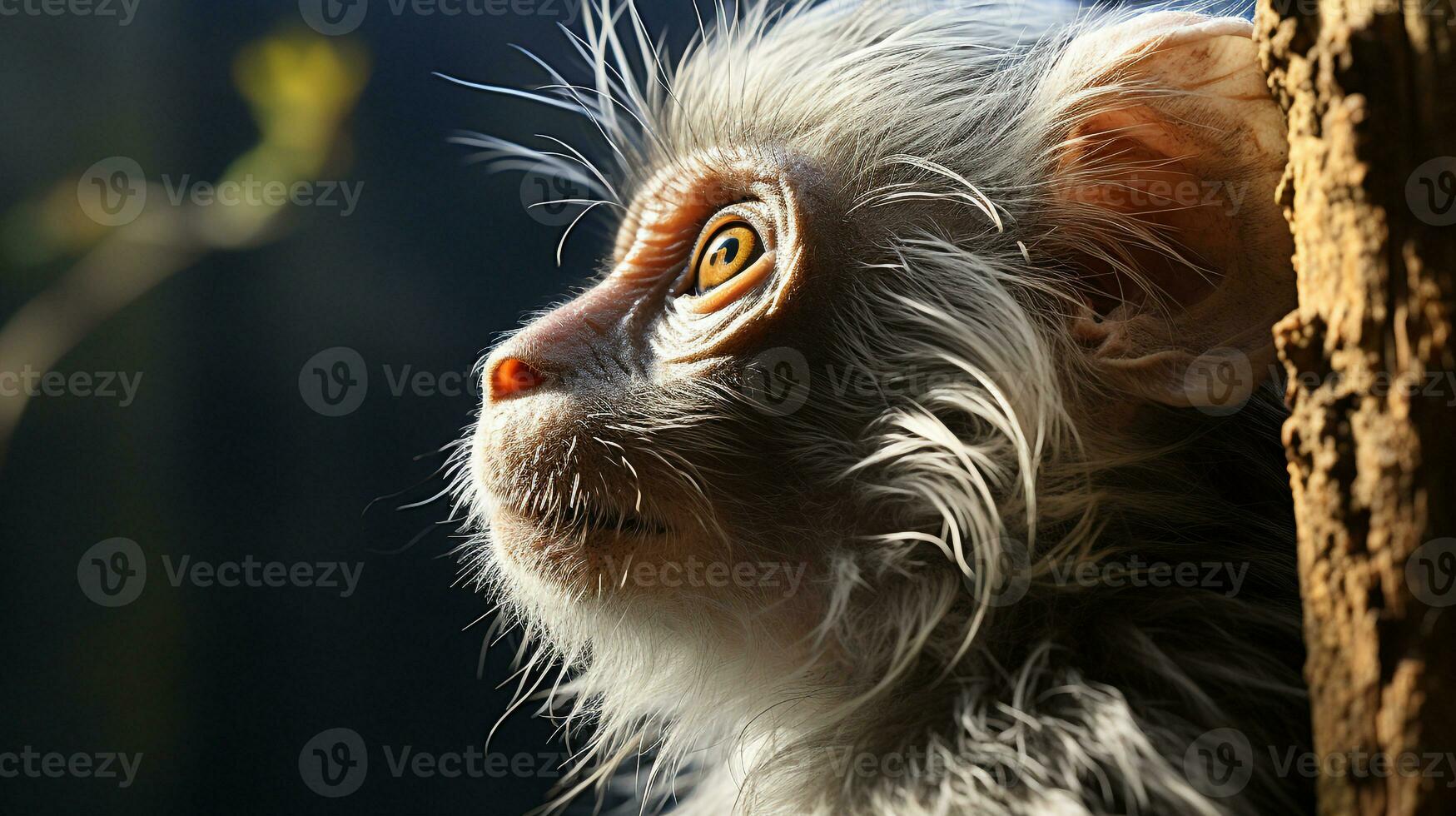 detailopname foto van een aap op zoek ieder richting. generatief ai