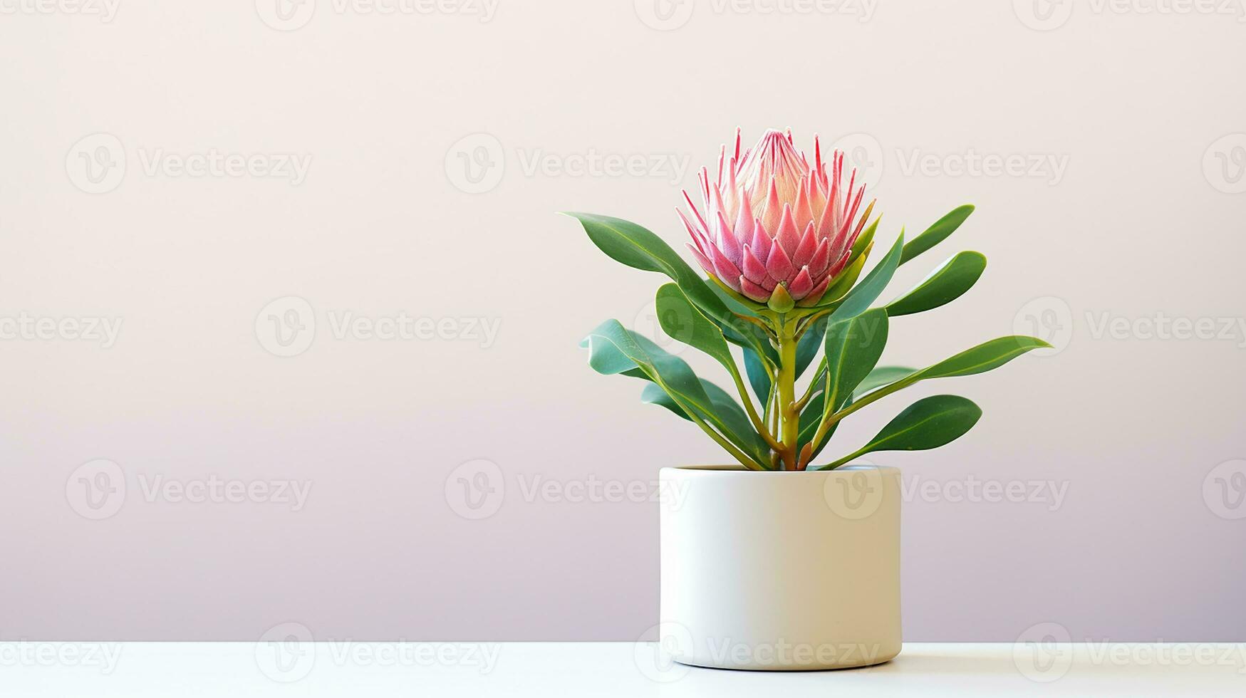 foto van protea bloem in pot geïsoleerd Aan wit achtergrond. generatief ai