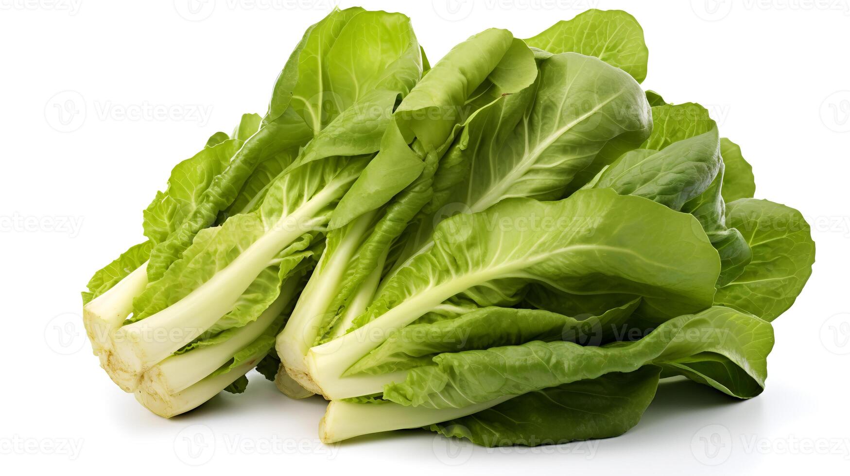 foto van escarole geïsoleerd Aan wit achtergrond. generatief ai