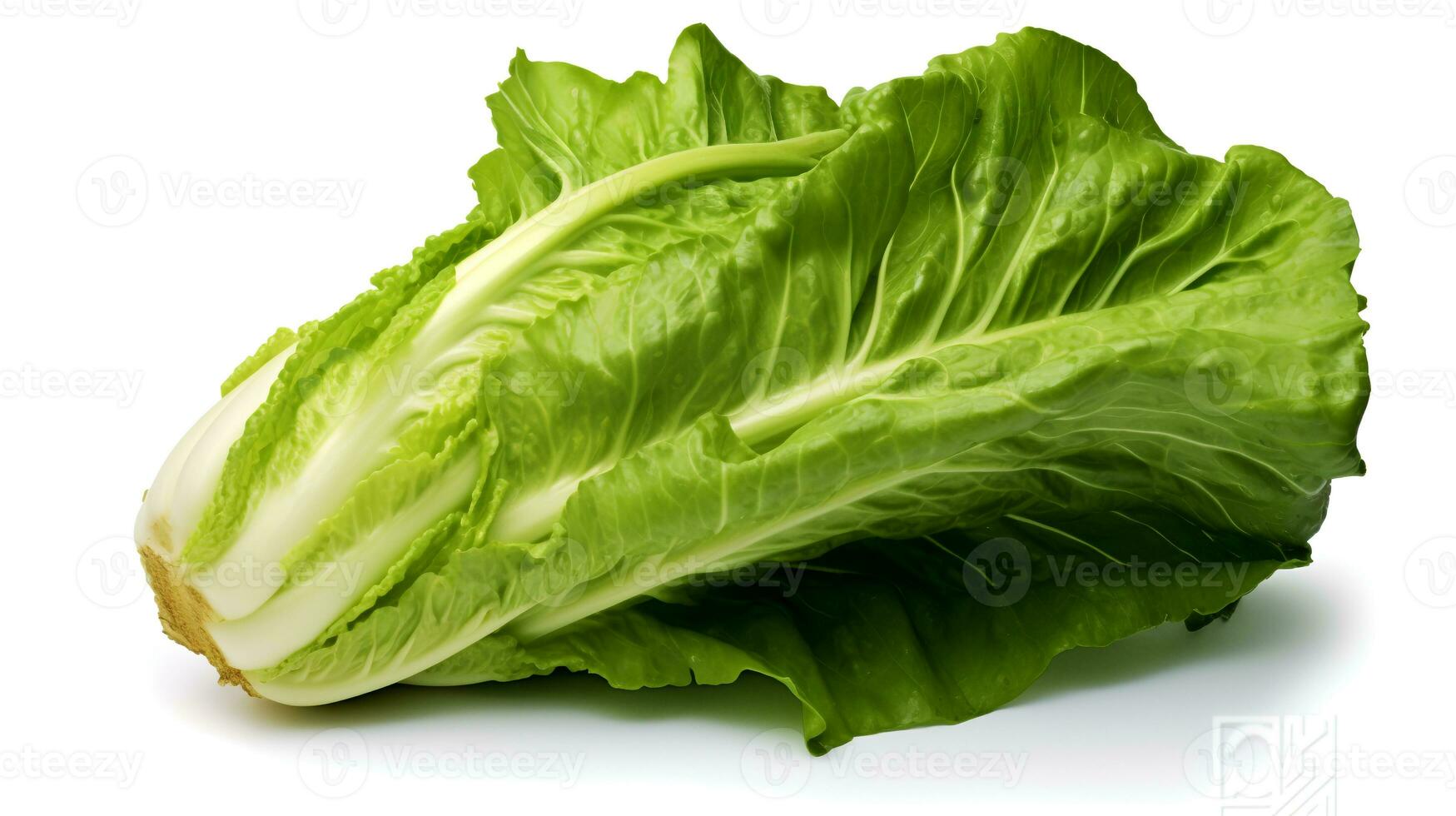 foto van escarole geïsoleerd Aan wit achtergrond. generatief ai