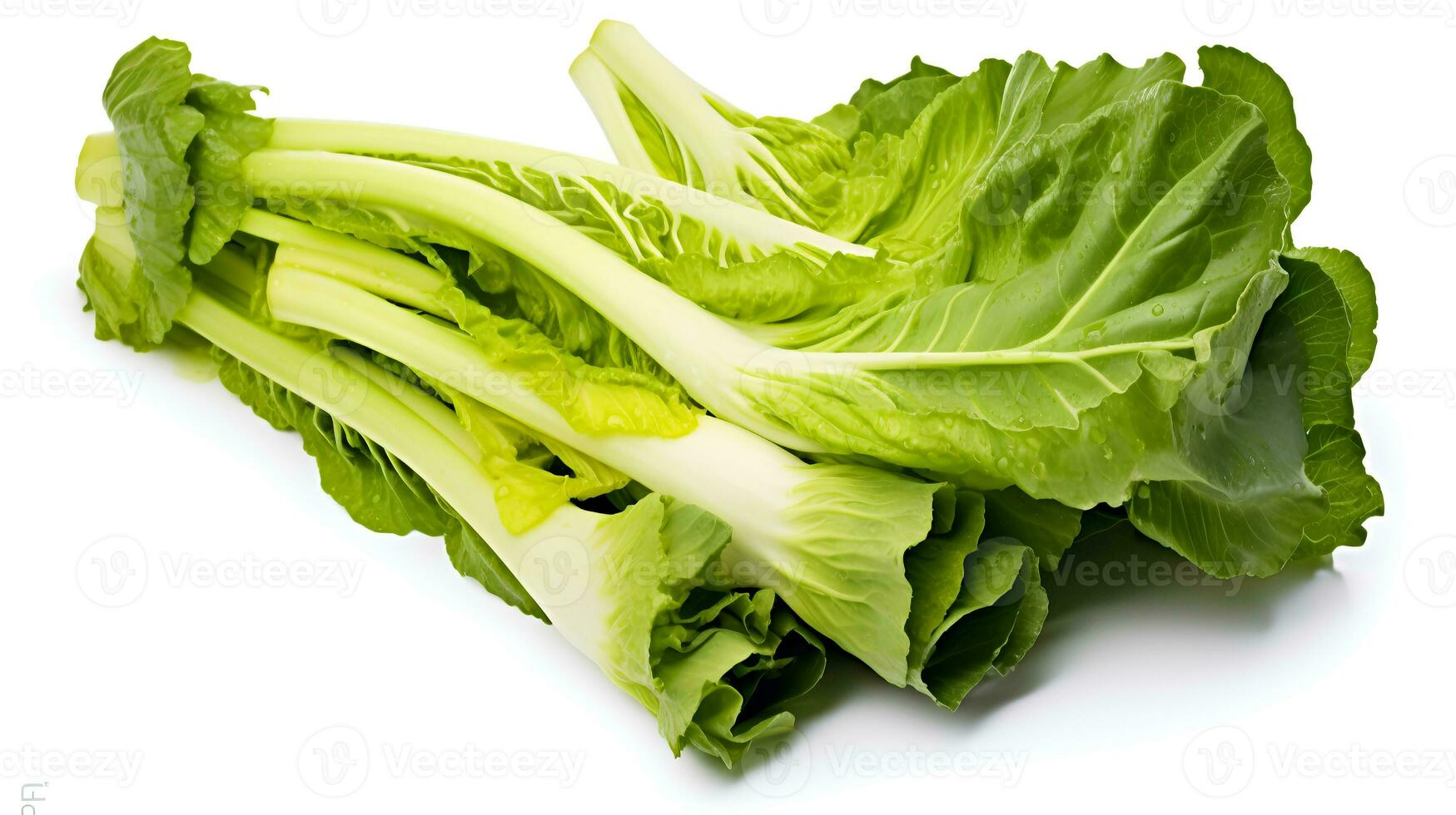 foto van escarole geïsoleerd Aan wit achtergrond. generatief ai