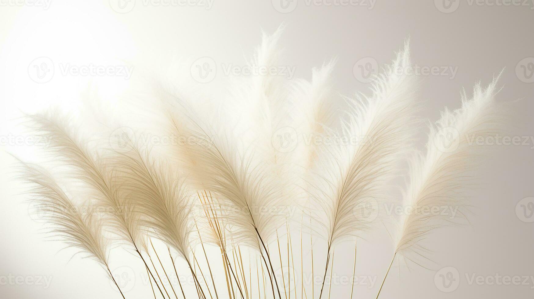 foto van mooi veer riet gras bloem geïsoleerd Aan wit achtergrond. generatief ai