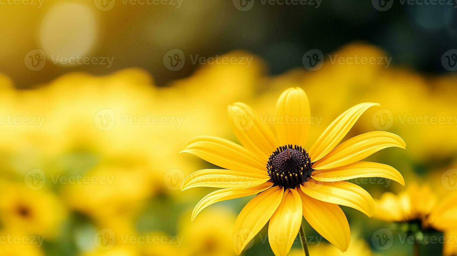 foto van mooi Rudbeckia bloem geïsoleerd Aan wit achtergrond. generatief ai