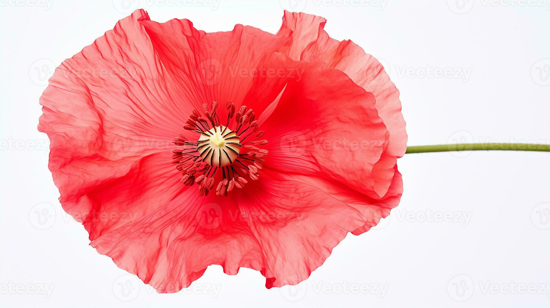 foto van mooi papaver bloem geïsoleerd Aan wit achtergrond. generatief ai