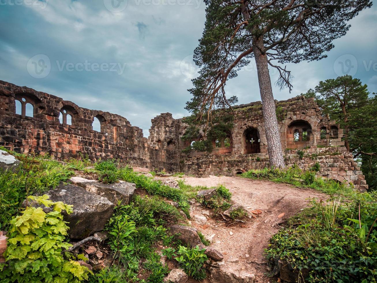 middeleeuws kasteel landsberg in vogezen, elzas. oude ruïnes in de bergen. foto