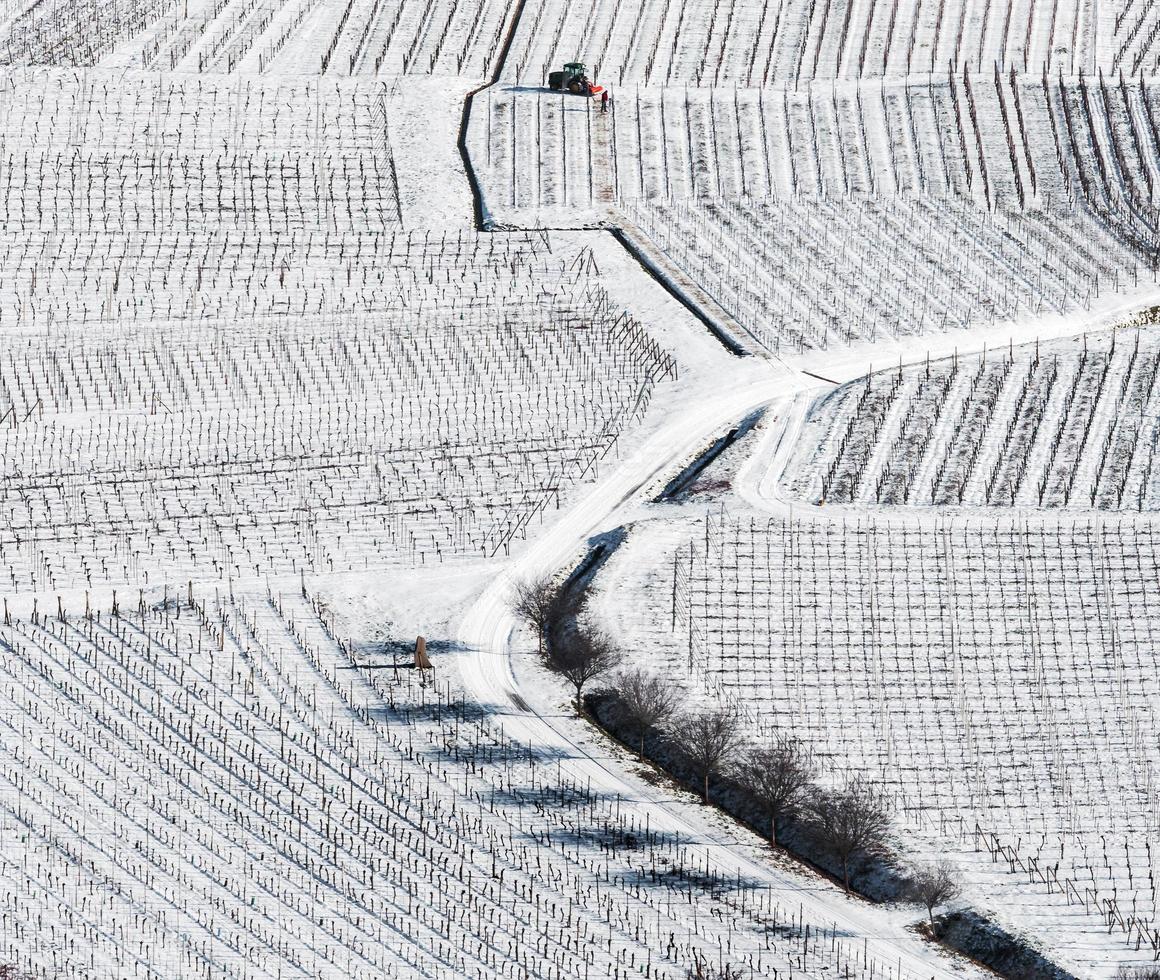 panoramisch dronezicht op besneeuwde wijngaarden in het Rijndal foto