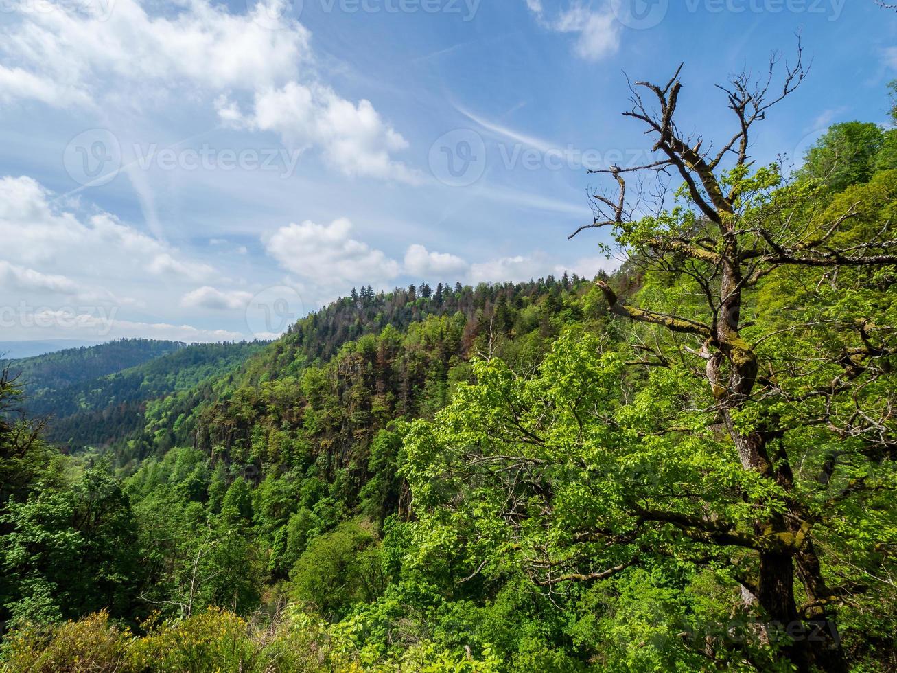 prachtige landschappen van de vogezen in frankrijk foto