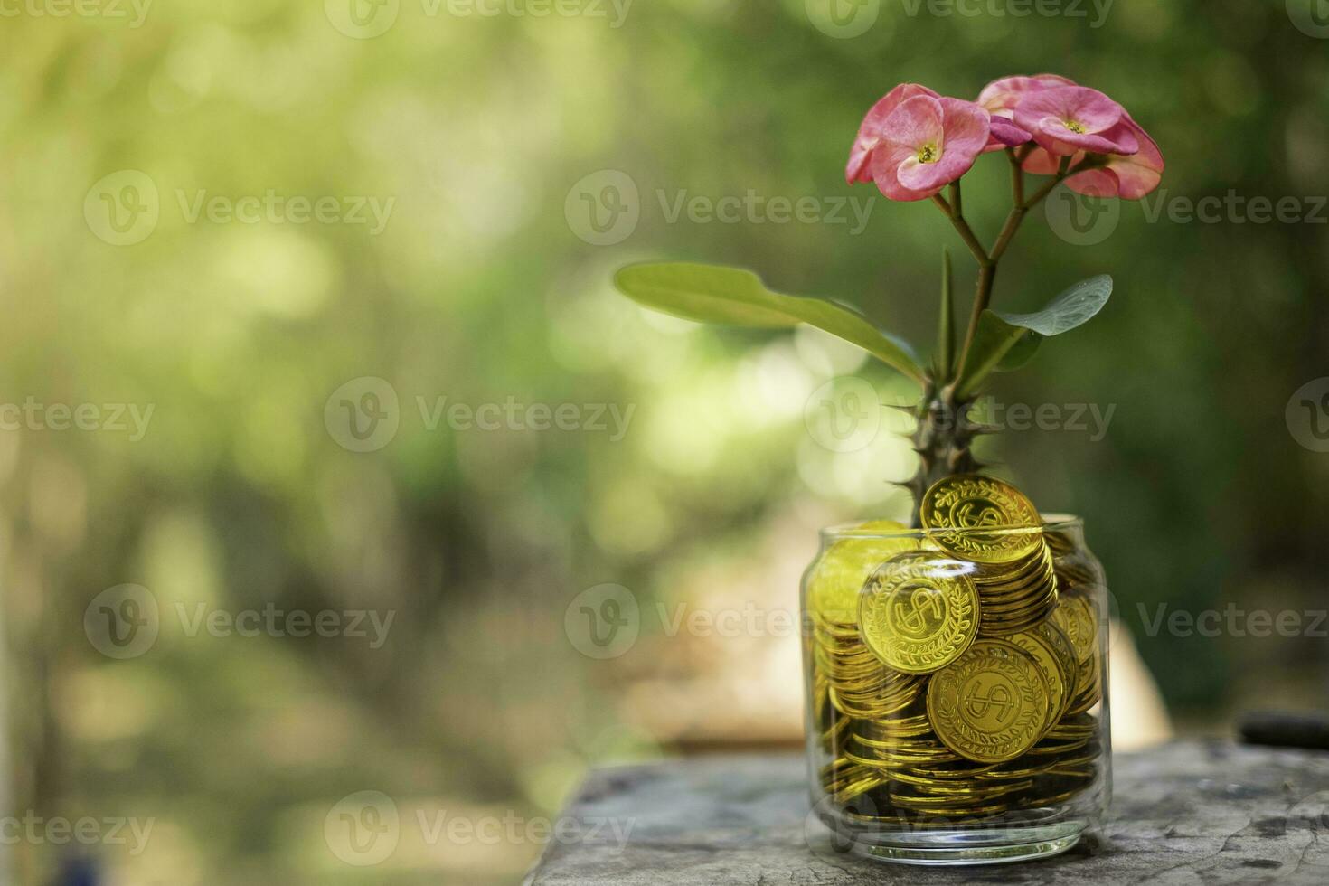 boom met bloemen die groeien op glazen spaarvarken van stapel gouden munten met onscherpe achtergrond foto