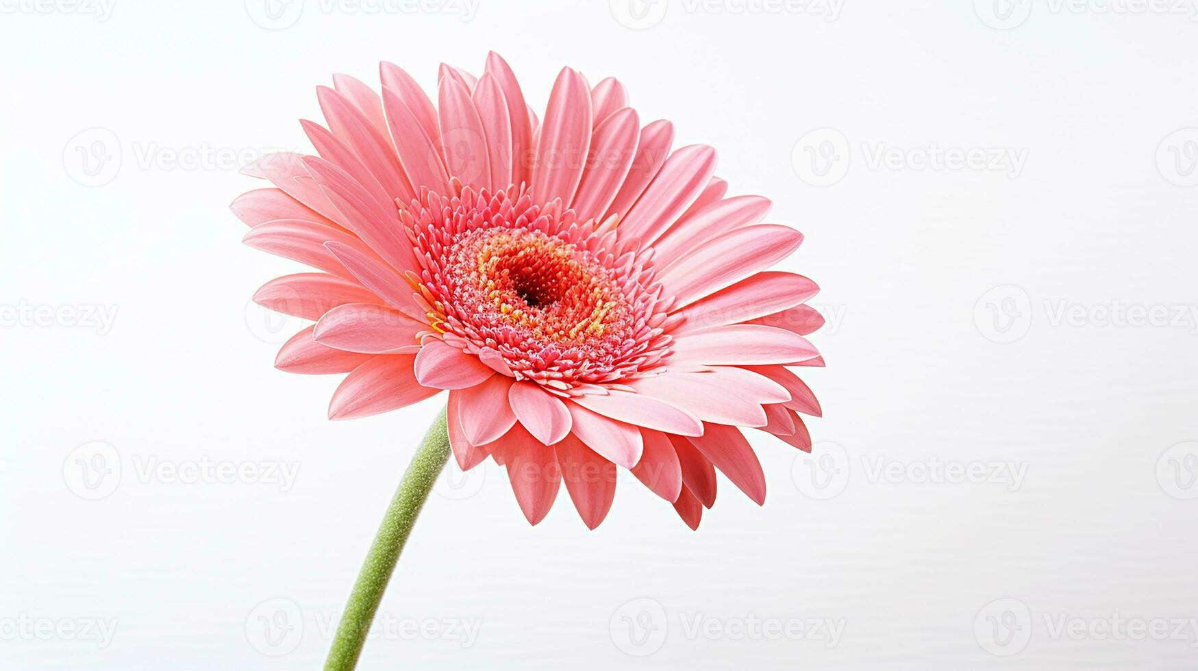 foto van mooi gerbera bloem geïsoleerd Aan wit achtergrond. generatief ai