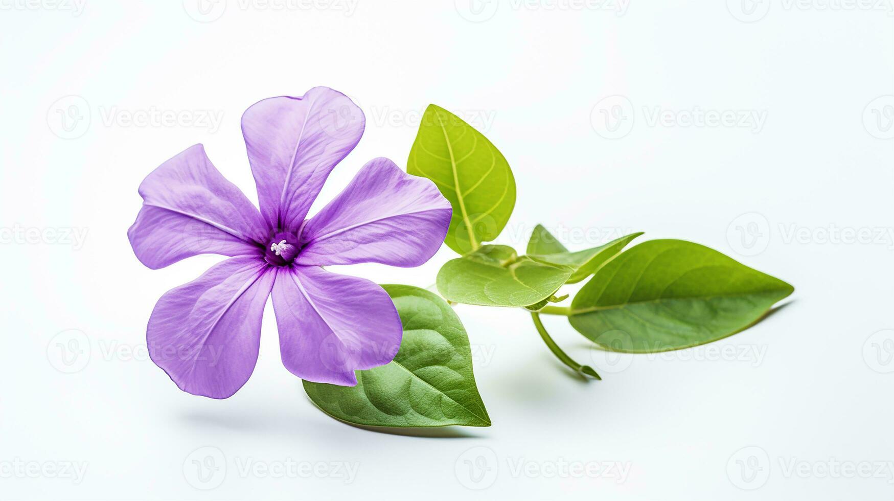 foto van mooi vinca bloem geïsoleerd Aan wit achtergrond. generatief ai