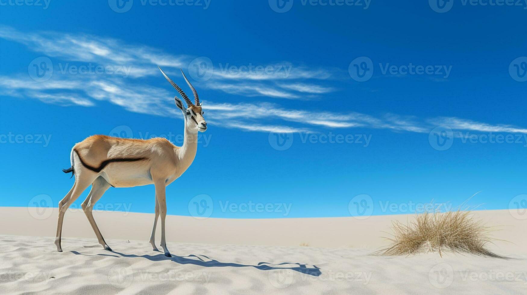 foto van een zand gazelle in een woestijn met blauw lucht. generatief ai