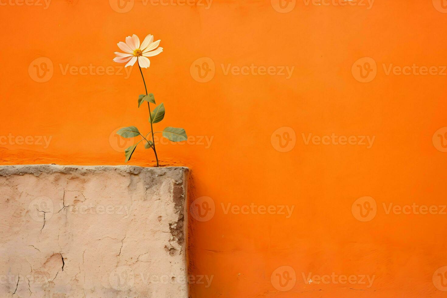 oranje vlak muur met bloem Aan de kant foto