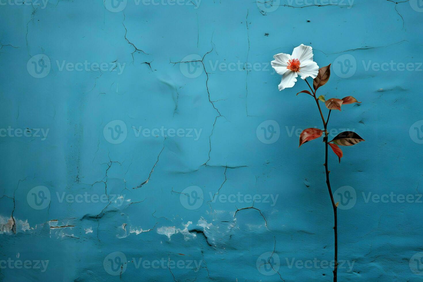 blauw vlak muur met bloem Aan de kant foto