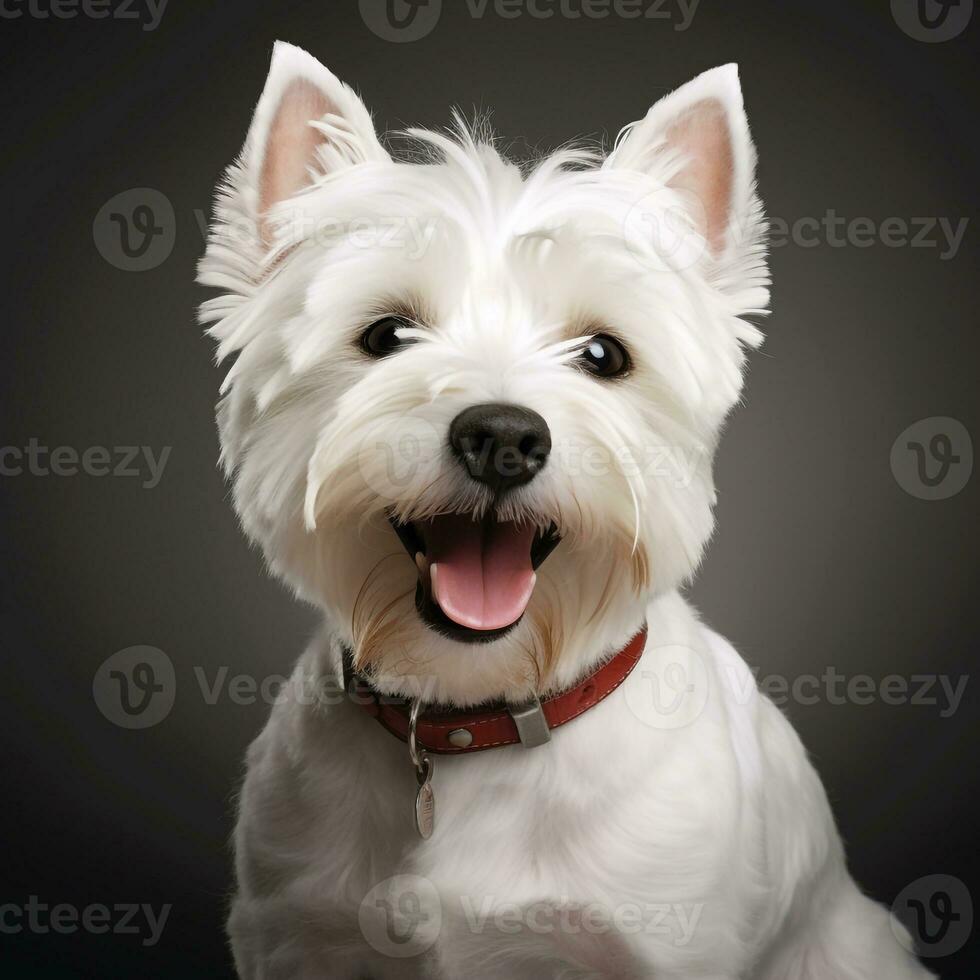 abstract hond puppy waterverf kunst portret kleurrijk wit achtergrond ai generatief foto