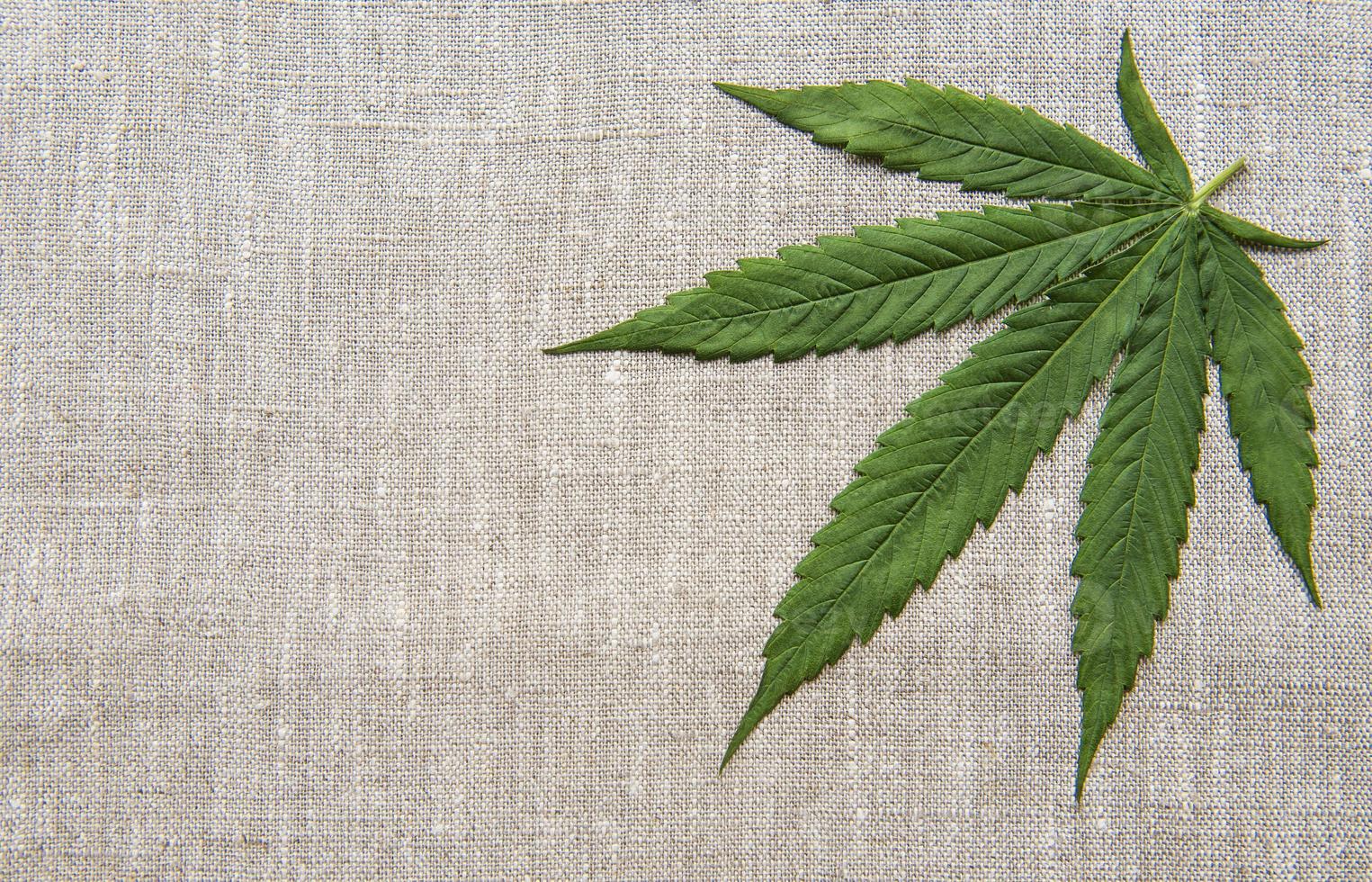 cannabisbladeren op de henneptextielachtergrond foto