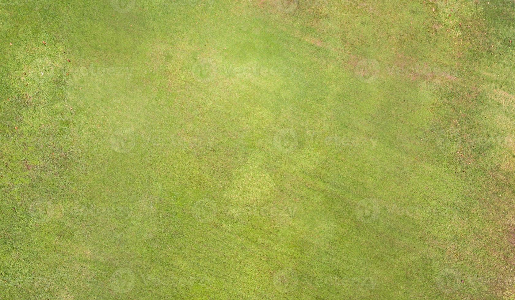 natuurlijke grastextuur foto