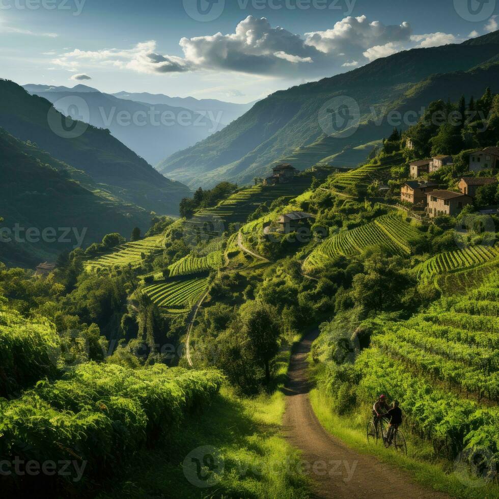 ruimte rotsen natuur kalmte genade landschap zen harmonie rust uit rust eenheid harmonie fotografie foto