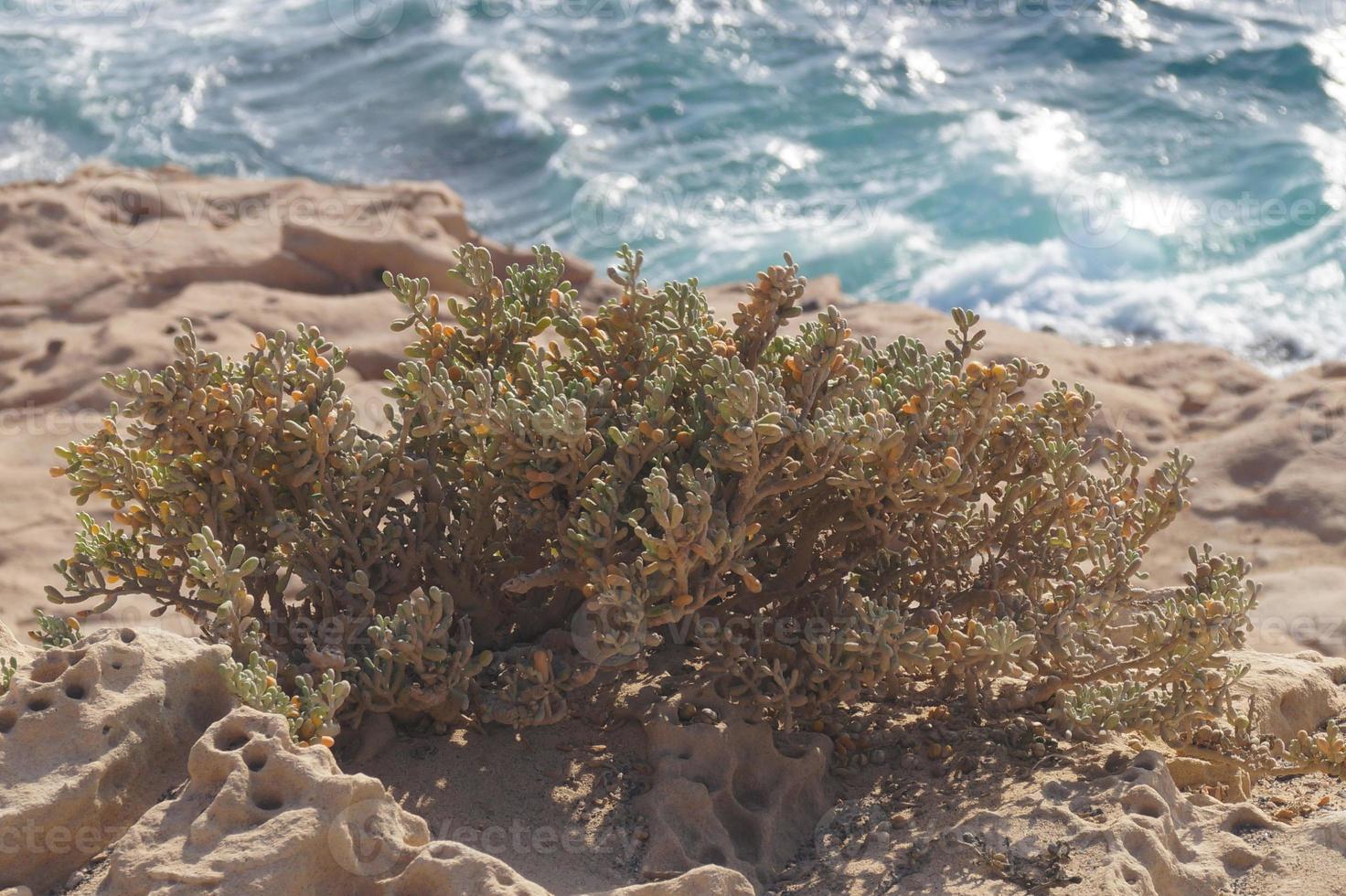 de grotten van ajuy - fuerteventura - spanje foto