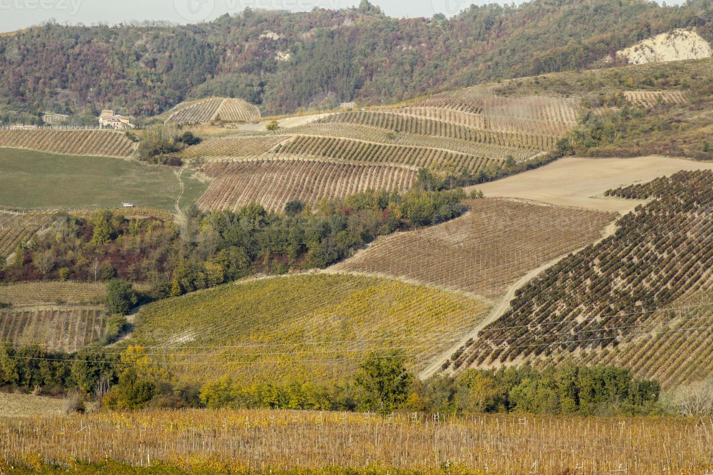 wijngaarden en landschap van het achterland van piemonte, italië foto