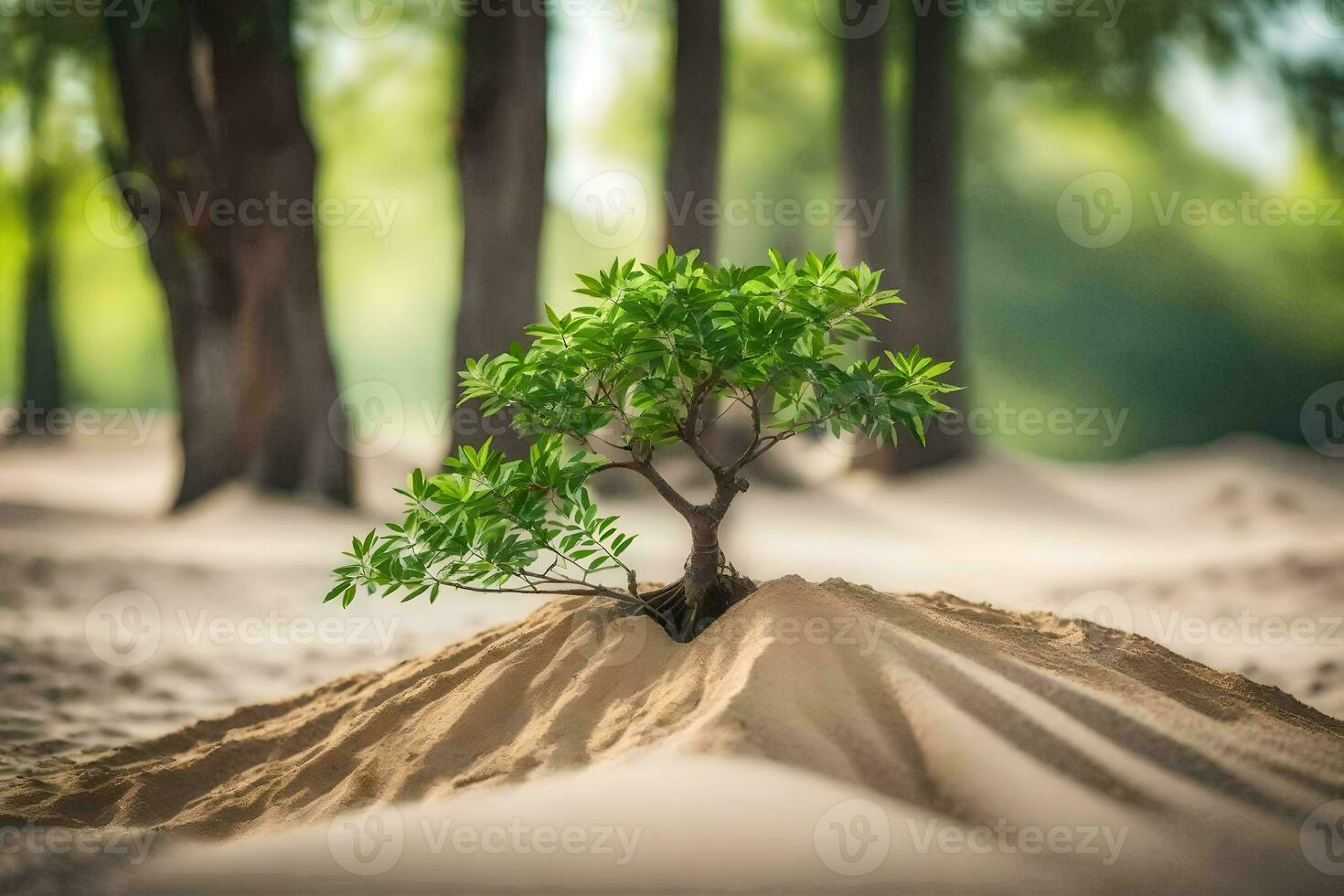 een klein boom is groeit uit van de zand in de midden- van een Woud. ai-gegenereerd foto