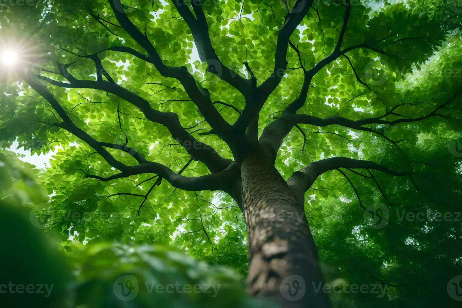 een boom met groen bladeren en zonlicht schijnend door. ai-gegenereerd foto