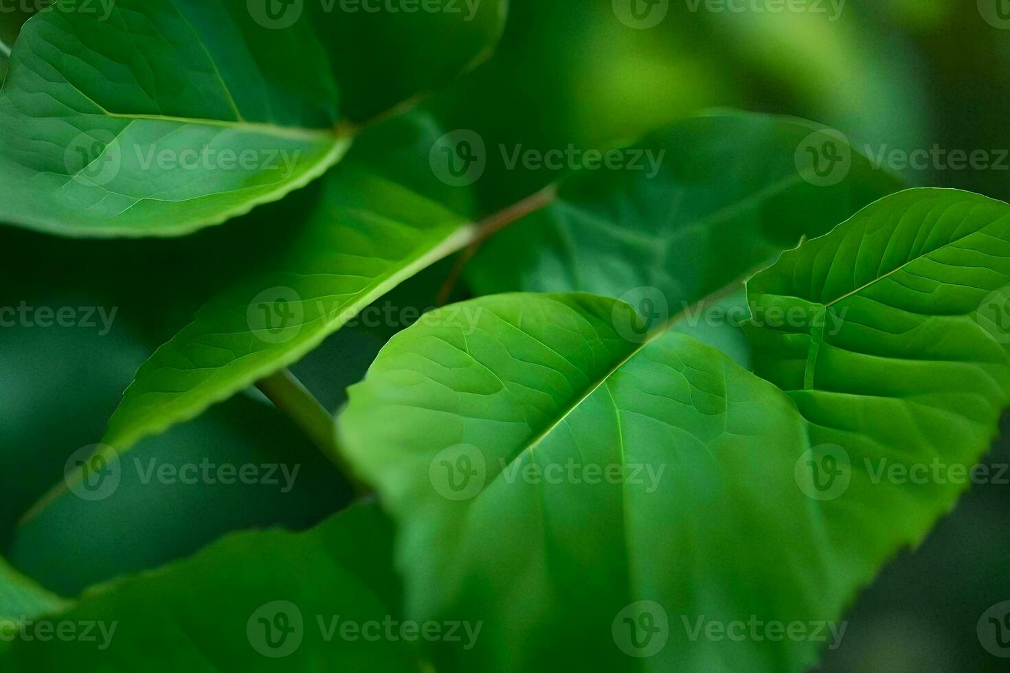 een dichtbij omhoog van groen bladeren Aan een fabriek. ai-gegenereerd foto