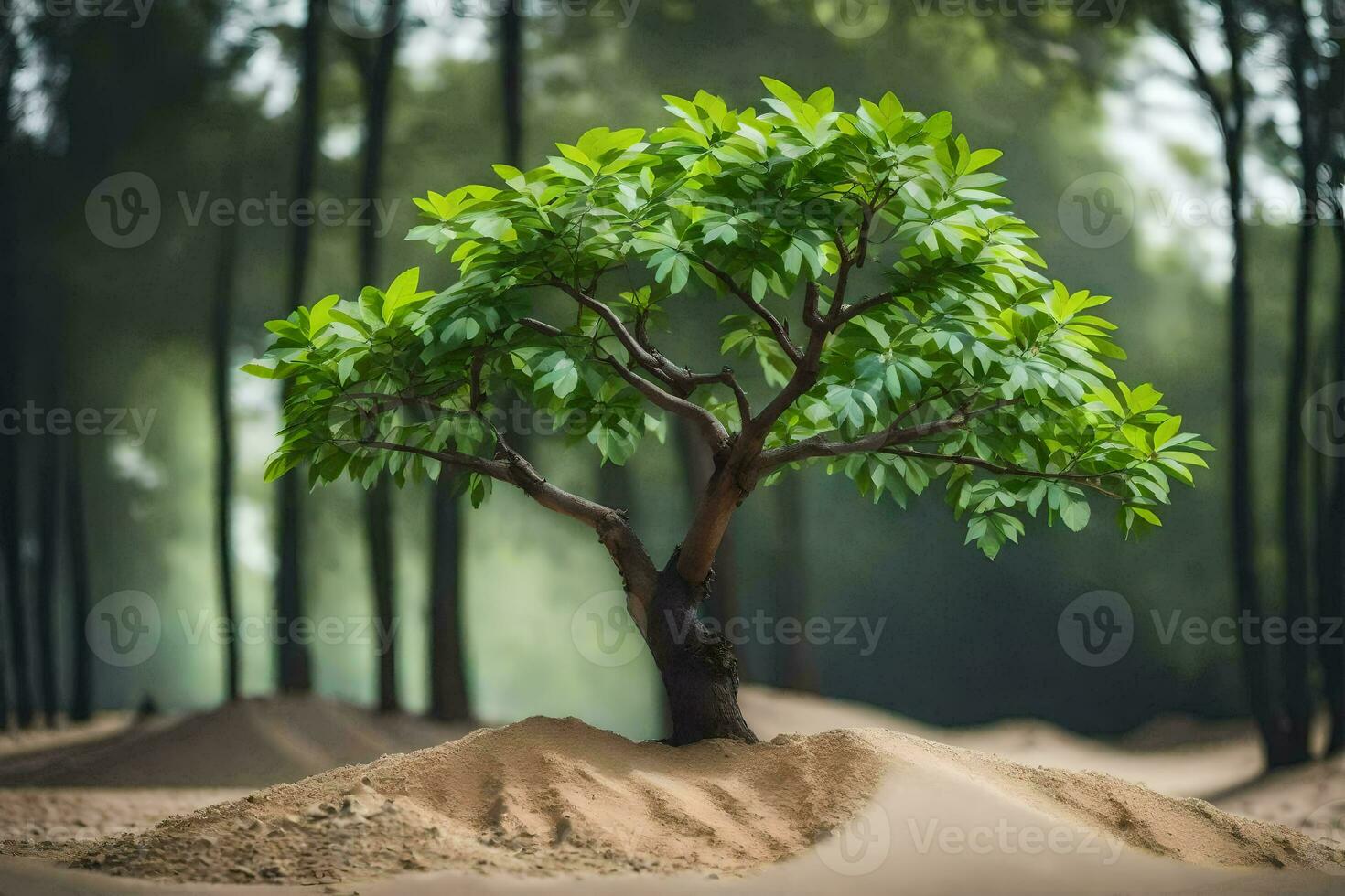 een klein boom groeit in de midden- van een zand duin. ai-gegenereerd foto