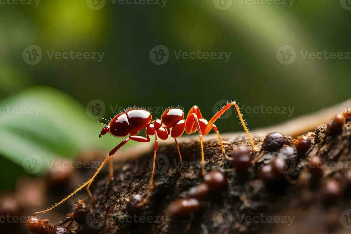 een rood mier Aan een boom Afdeling. ai-gegenereerd foto