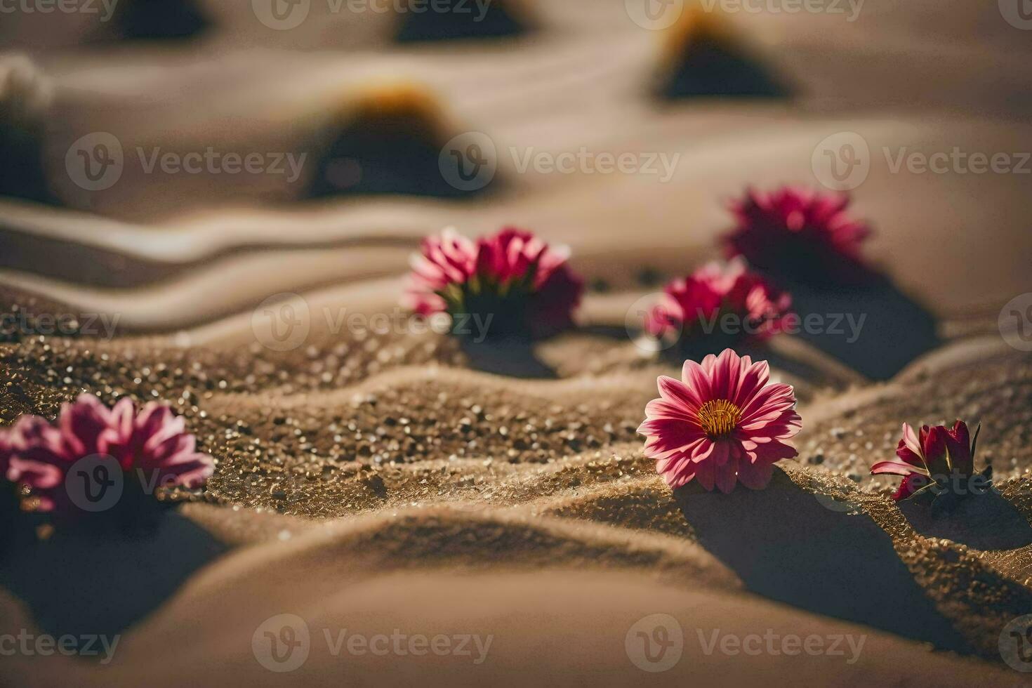 foto behang zand, de woestijn, bloemen, de woestijn, bloemen, de woestijn, bloemen,. ai-gegenereerd