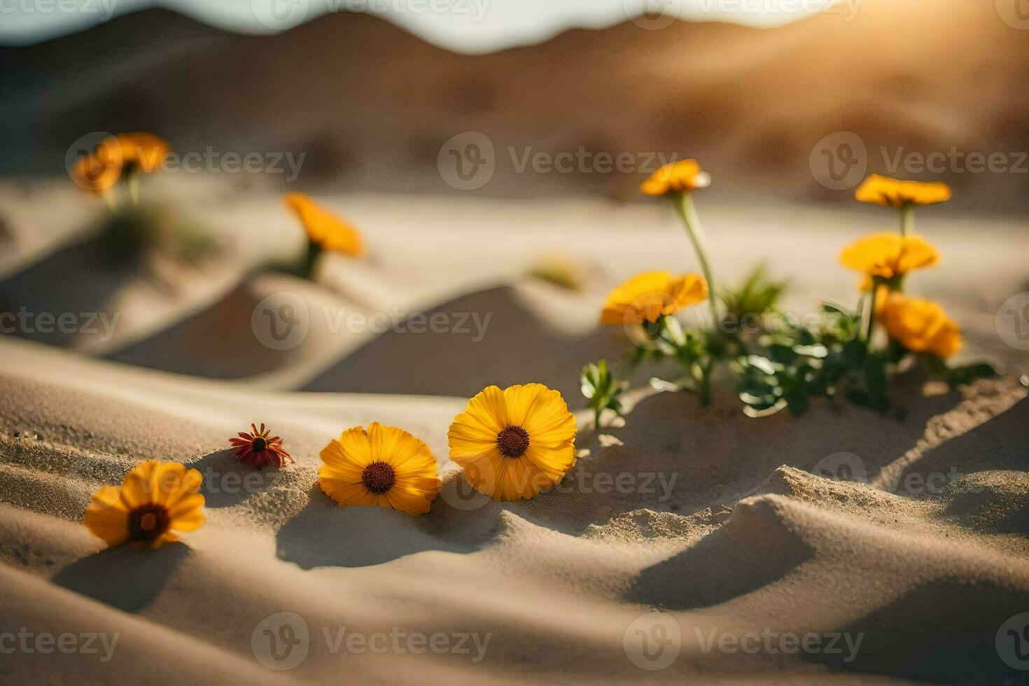 geel bloemen in de woestijn. ai-gegenereerd foto