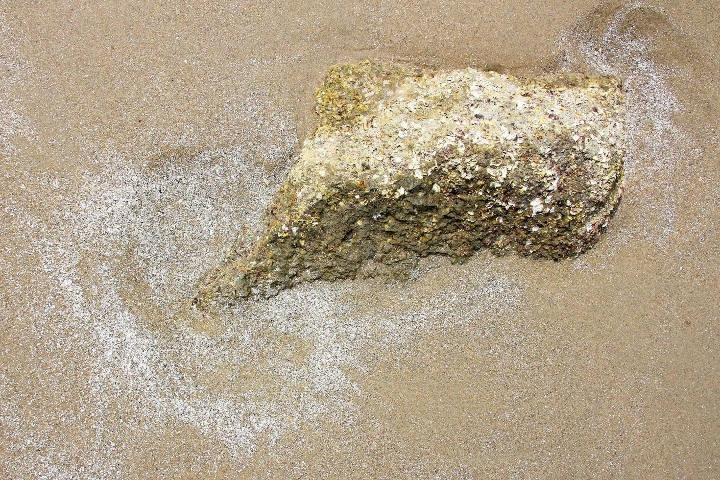 zand textuur achtergrond op het strand foto