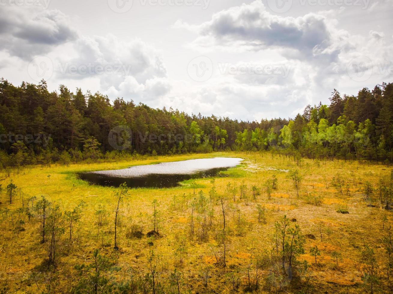 luchtfoto niauka-meer in het regionale park van kurtuvenai foto