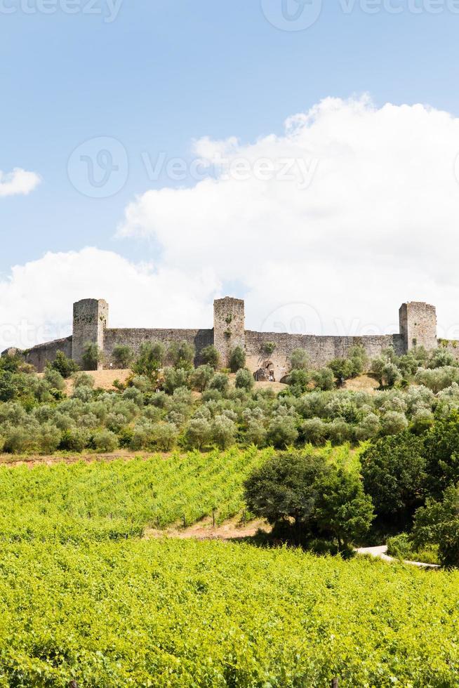 wijngaard in Toscane foto