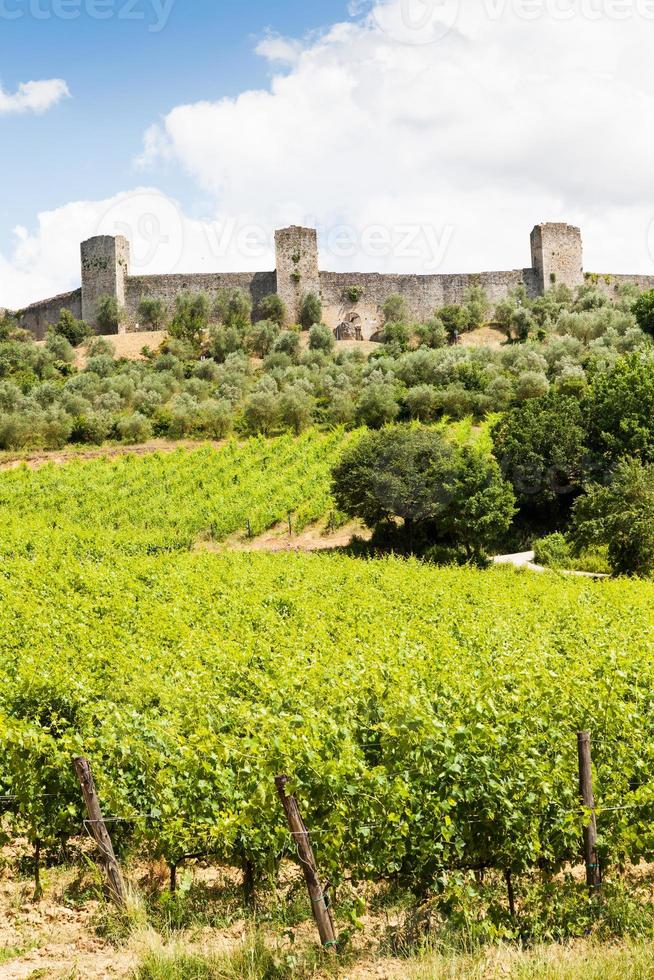 wijngaard in Toscane foto