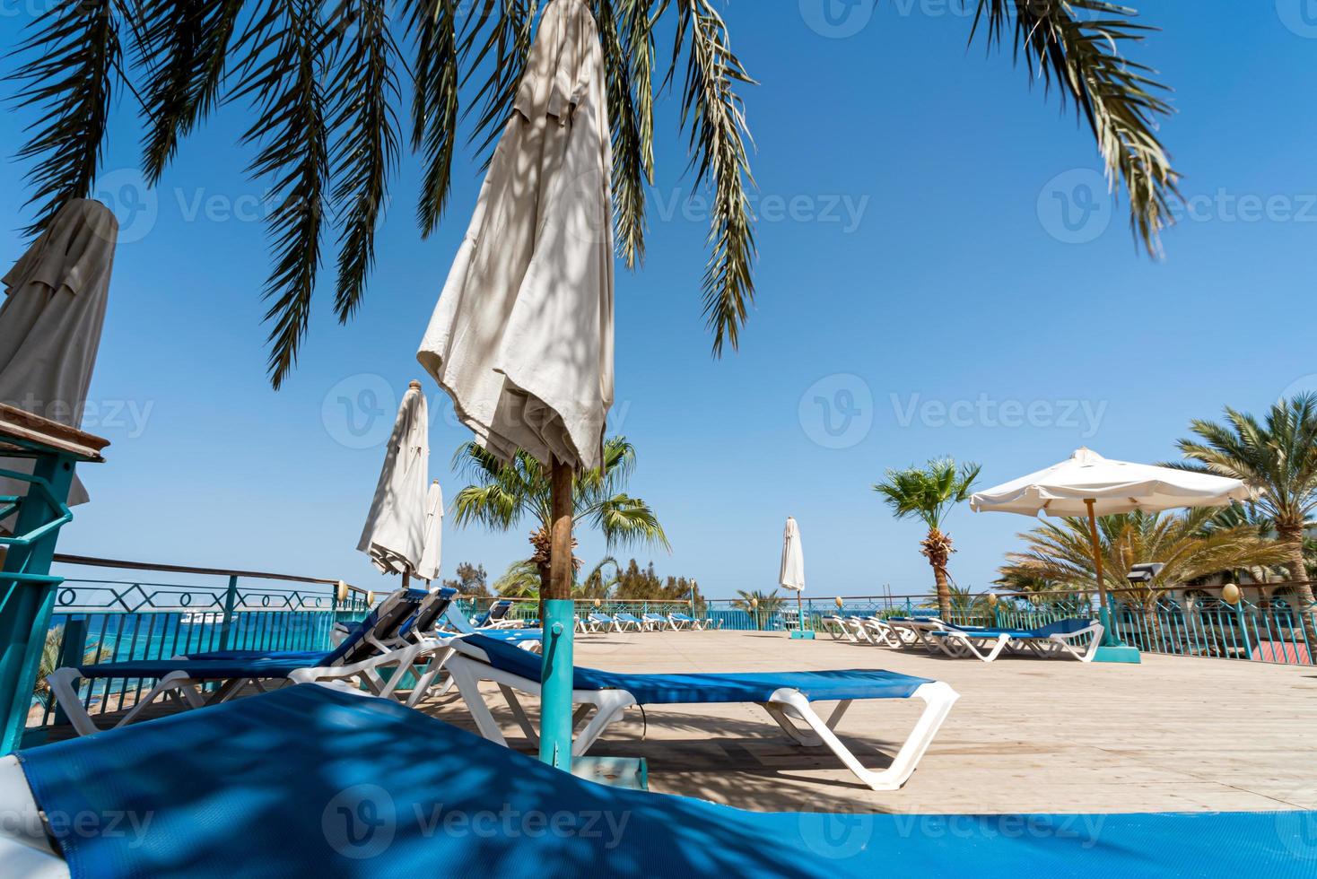 lege strandstoelen onder palmbomen zonder mensen foto