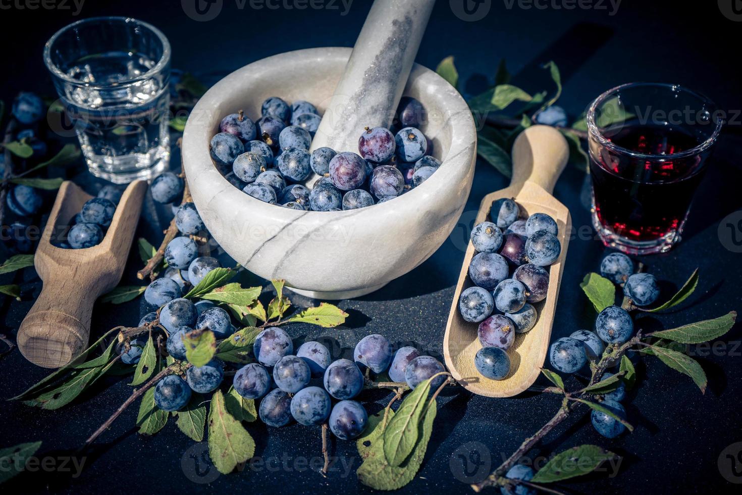 vruchten van de sleedoornstruik foto