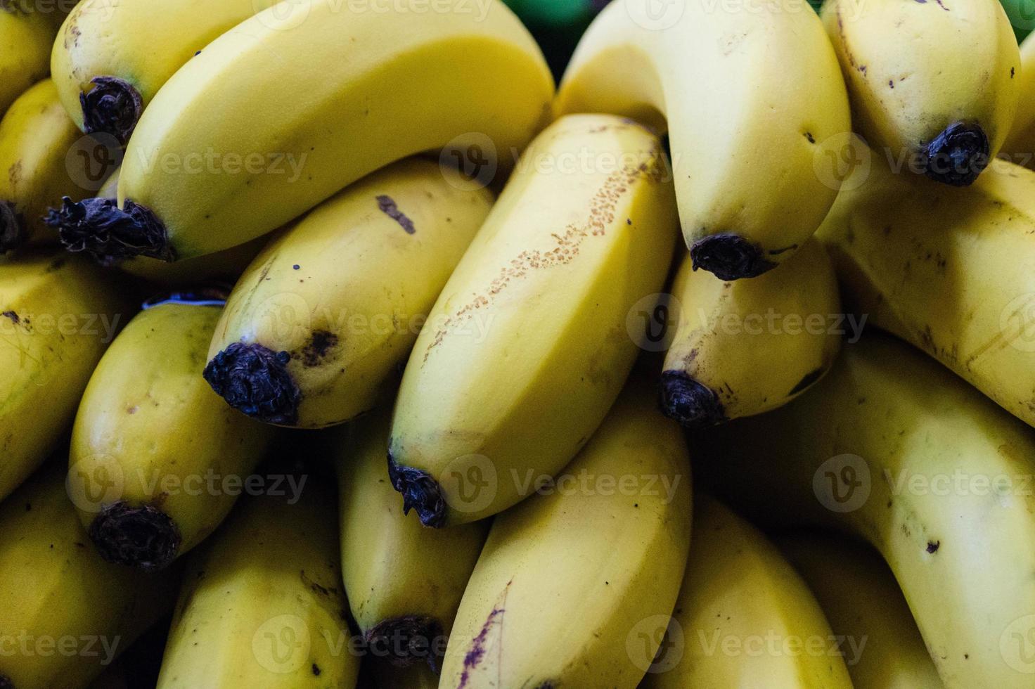 bananen op een plantage op het eiland madeira foto