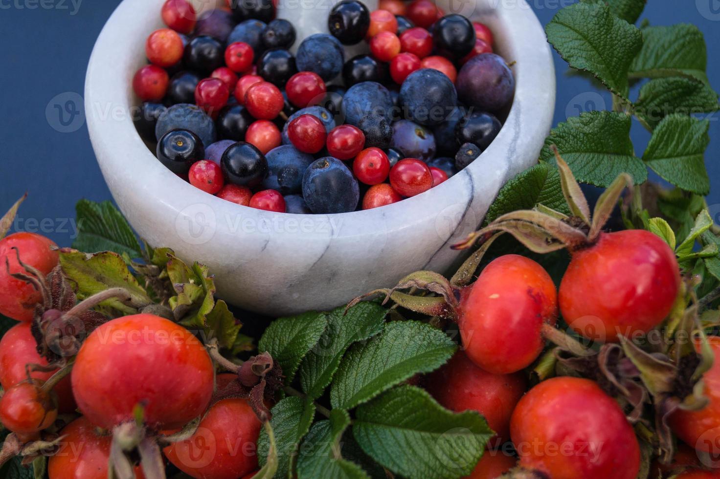 alternatieve geneeskunde met farmaceutische kruiden, fruit en bessen foto