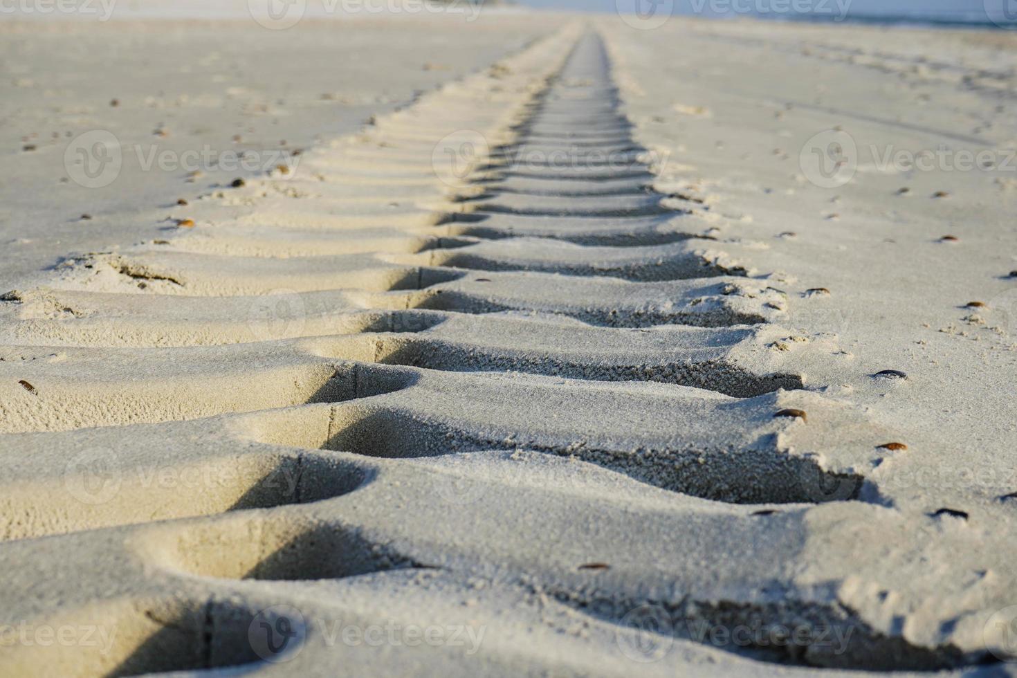 op het strand van blavand ho denemarken foto