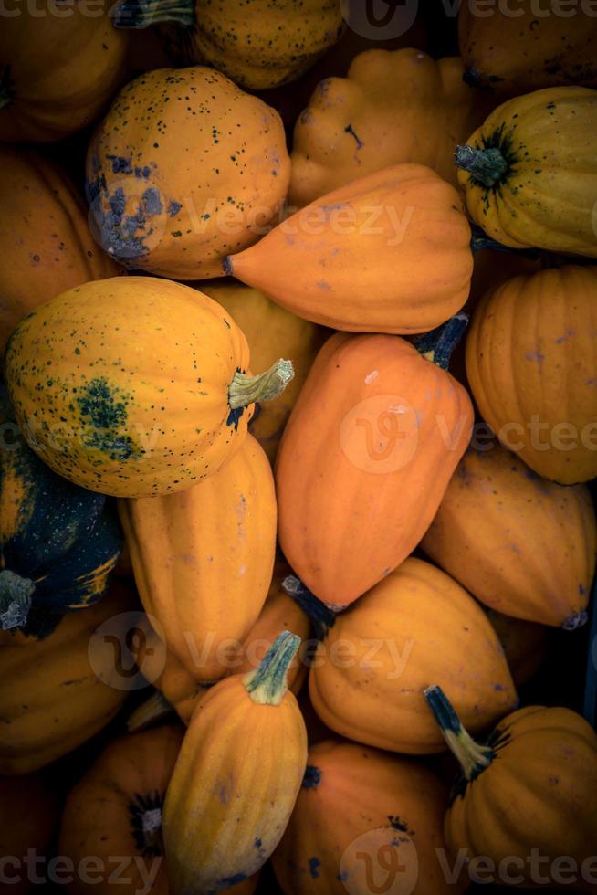 Pompoenen op een boerenmarkt foto