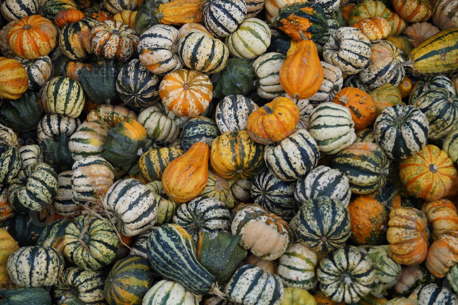 pompoenen op een boerenmarkt farmers foto