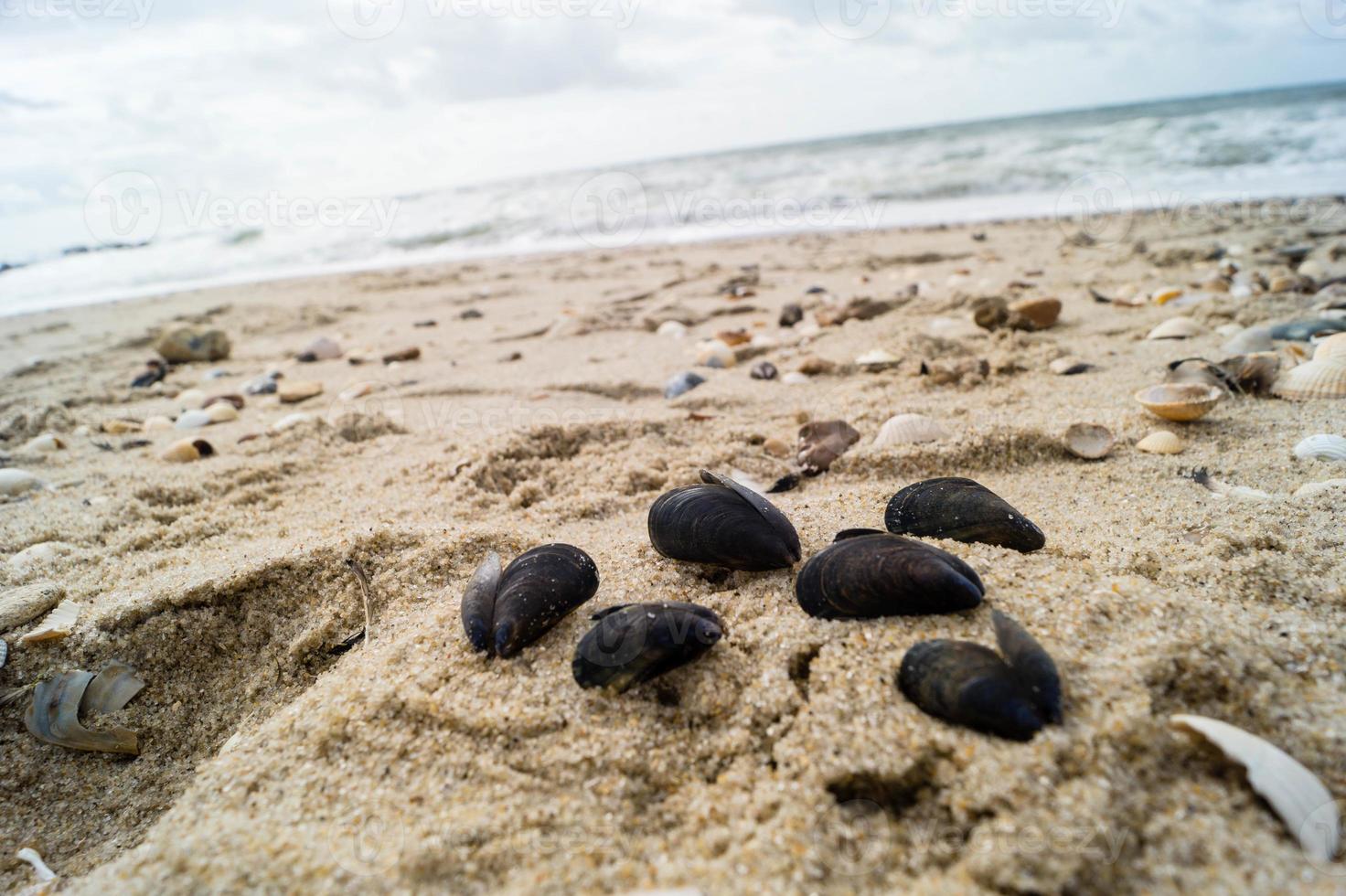 op het strand van blavand ho denemarken foto