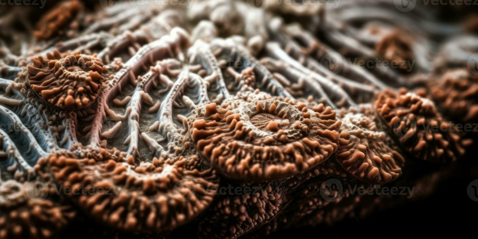 mineraal steen koraal detailopname. generatief ai foto