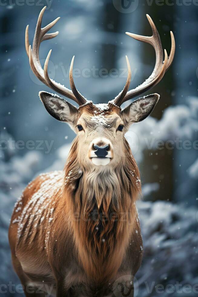 hert Aan sneeuw natuur achtergrond, ai gegenereerd foto