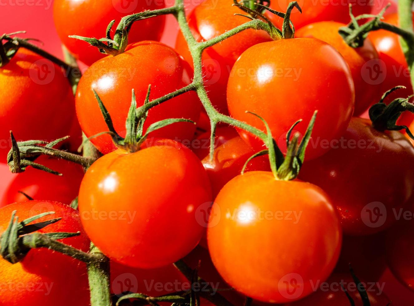 rode ronde tomaten solanum lycopersicum foto