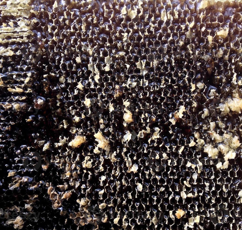 druppel bijenhoning druppel van zeshoekige honingraten gevuld foto