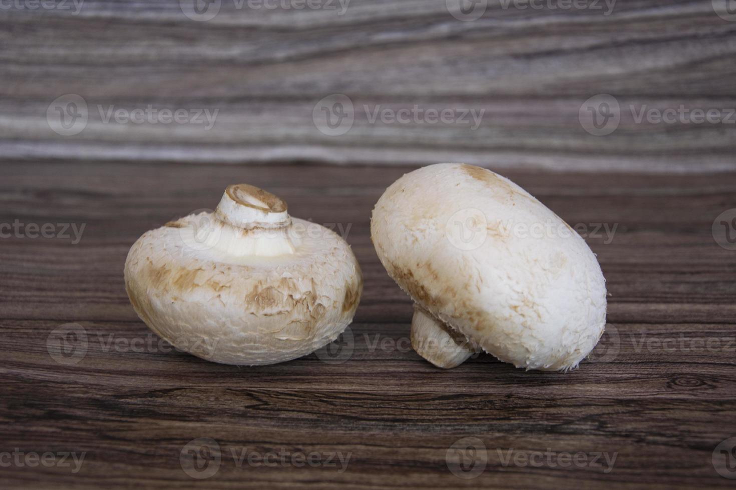 champignons van dichtbij. champignon champignons foto