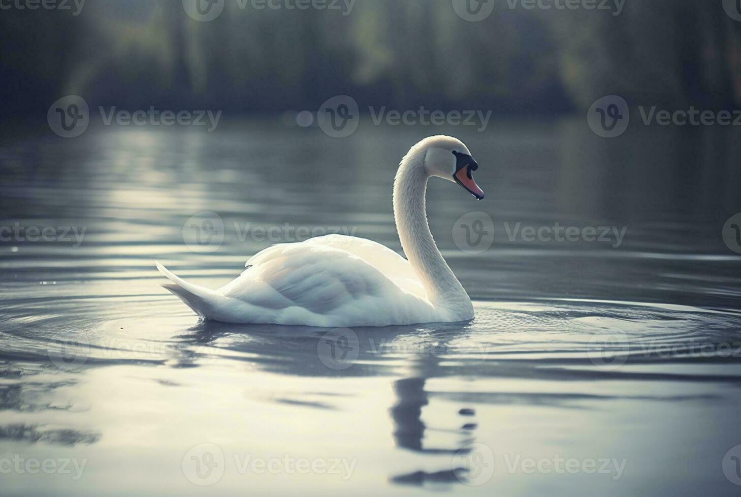 wit zwaan zwemmen over- rivier- met wazig achtergrond. generatief ai foto